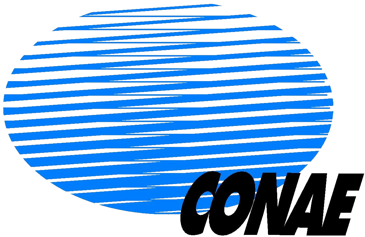 Biblioteca Electrónica De Ciencia Y Tecnología Mincyt - Comisión Nacional De Actividades Espaciales (1311x1311)