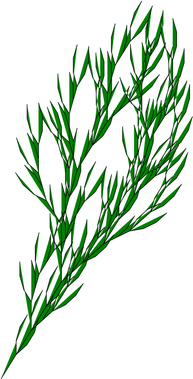 Bush L-system Clip Art Grass - L-system (400x800)
