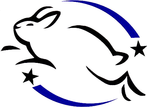 Urban Decay Is One Cosmetic Company Pushing Forward - Cruelty Free International Logo (515x406)