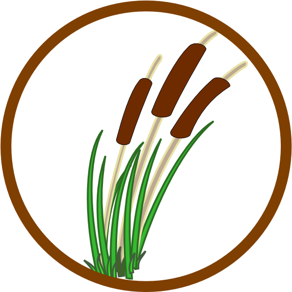 Marsh Clipart - Marsh Clipart (600x571)