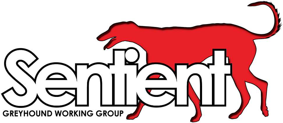 Sentient Has Long Been Concerned About Commercial Greyhound - Ethics (979x433)