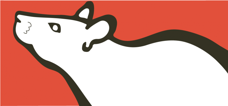 Adav Society Of Bc Launches New Humane Charities Campaign - Charitable Organization (800x445)