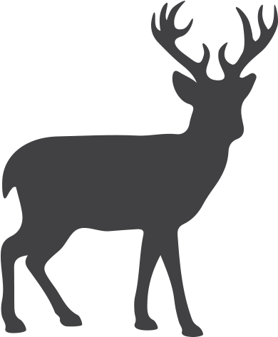 Reindeer Saddle Professional Secrets - Deer Silhouette Png (772x526)