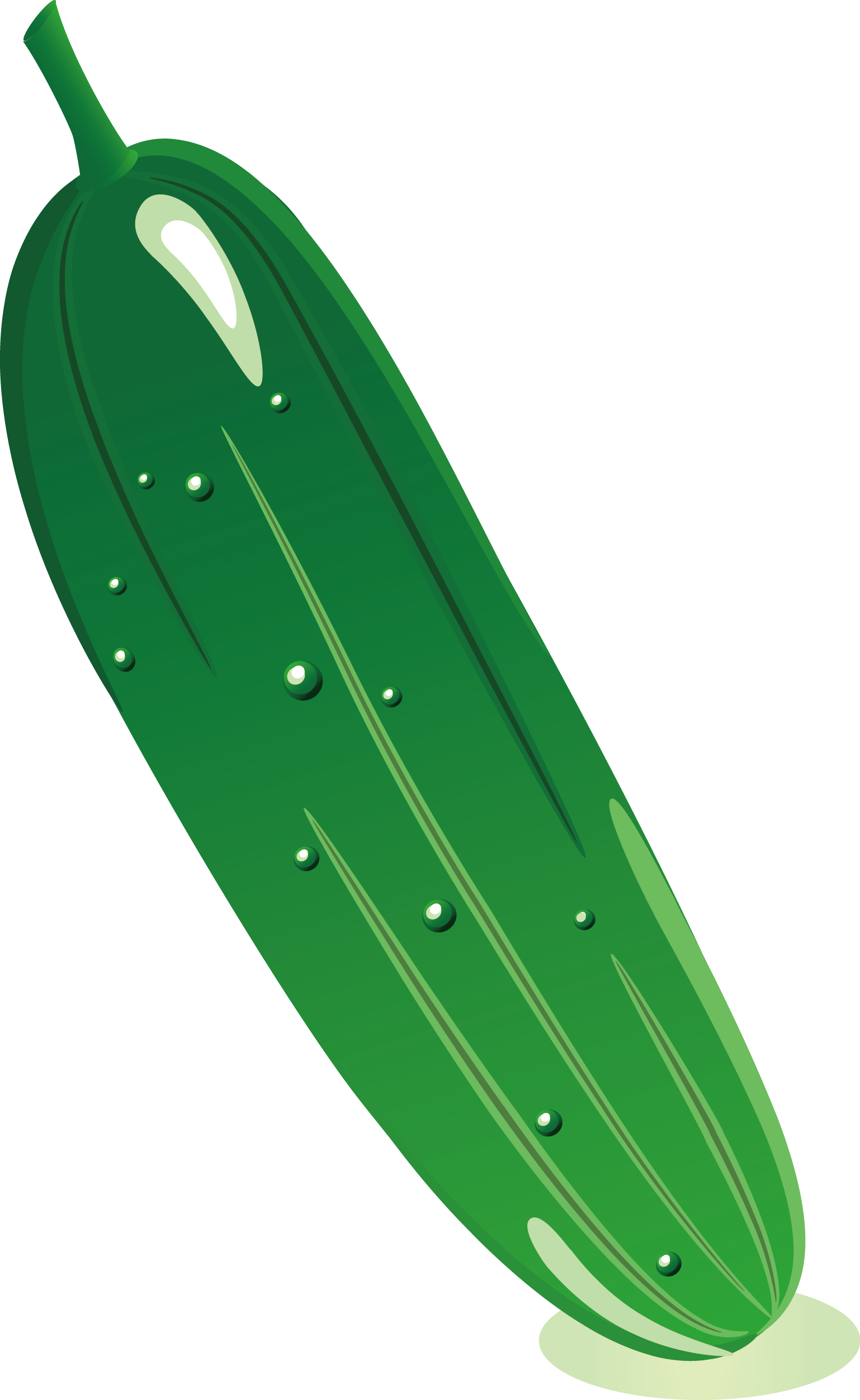 Cucumber Cartoon Clip Art - Cucumber Cartoon Png (1538x2506)