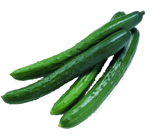 Pickled Cucumber Vegetable Clip Art - Pickled Cucumber Vegetable Clip Art (500x500)