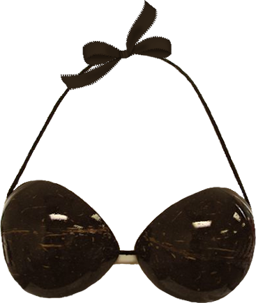 Coconut Bra Clipart Clipartuse Rh Clipartuse Com - Coconut Bra Transparent Background (367x435)