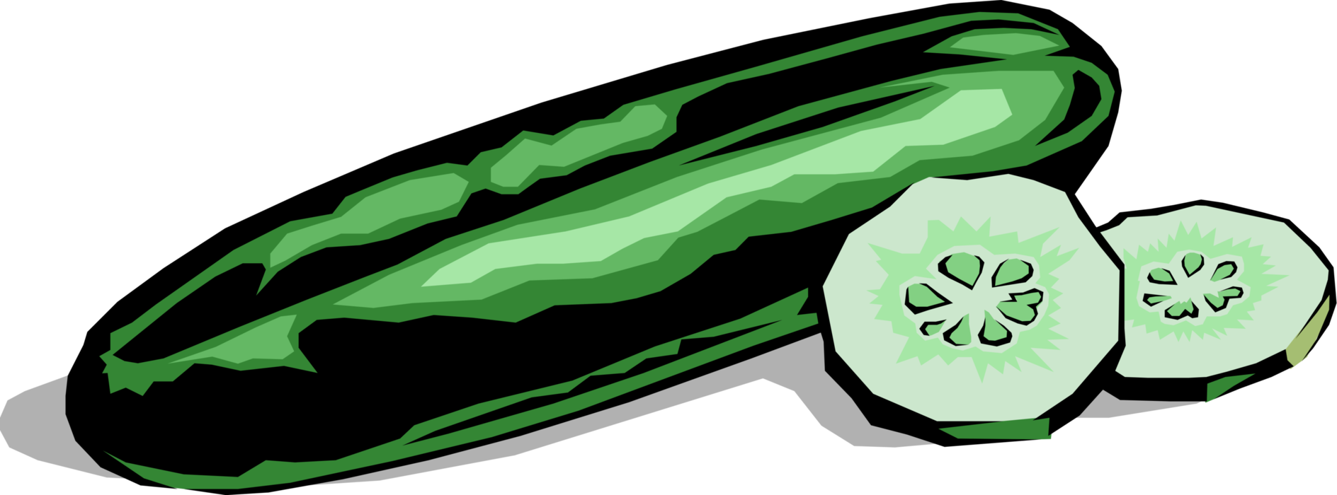 Vector Illustration Of Culinary Edible Vegetable Cucumber - Cucumber Clipart (1888x700)