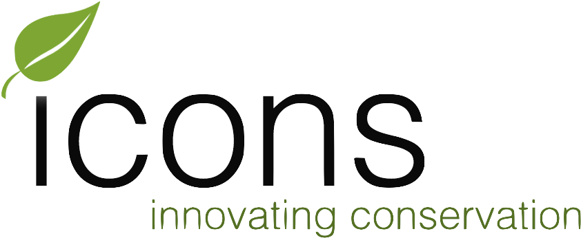 Google Adwords (864x360)