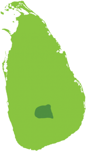 Map - Sri Lanka Climatic Zones (330x500)