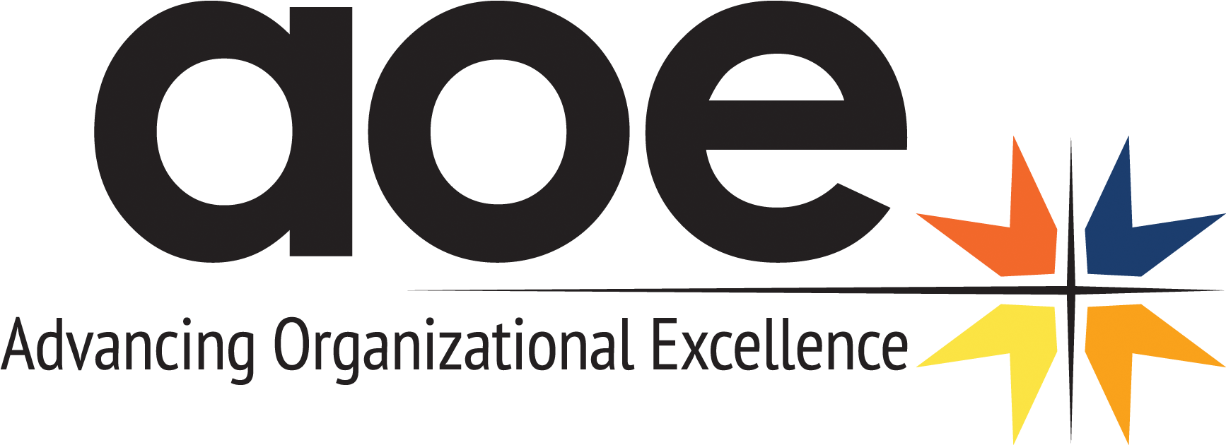 The Aoe Team - The Advancing Organizational Excellence Team (1800x750)
