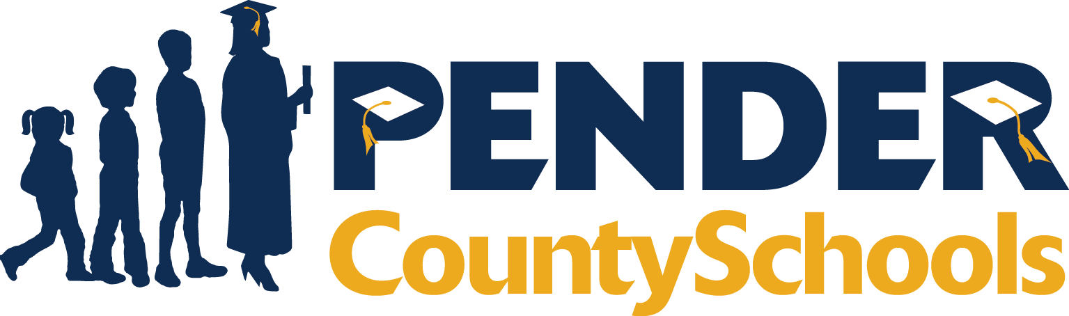 Five-year Strategic Plan - Peerless Network Logo (1535x454)