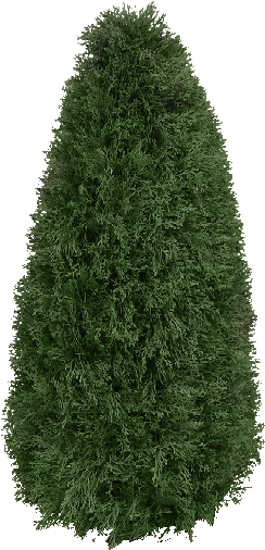Topiary (256x512)