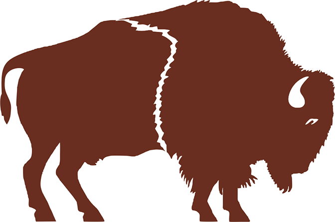 By The Pound - Bison (672x446)