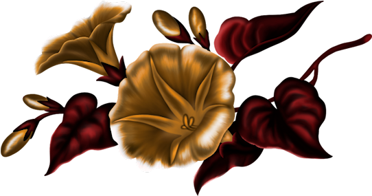 0 18bc8e C8361491 Orig - Anthurium (550x290)