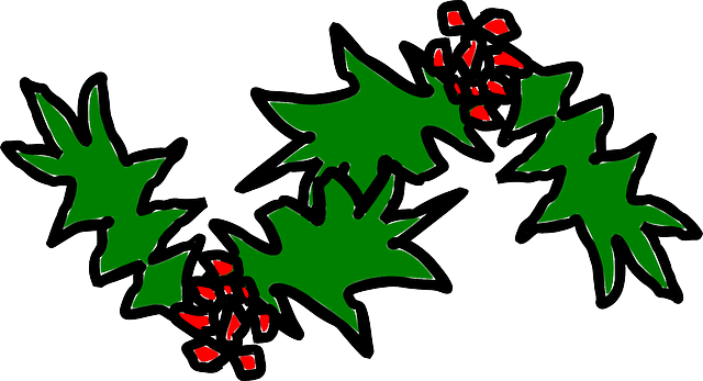 Holidays Holly, Ilex, Leaves, Berries, Christmas, Holidays - Holly Xmas (640x347)