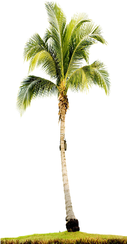 123k Autumn Tree256256 13 Oct 2014 - 123k Autumn Tree256256 13 Oct 2014 (256x512)