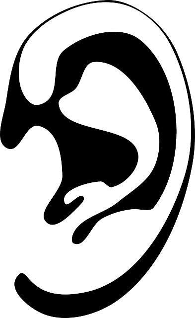 Listening - Ears - Images - Ear Black And White (393x640)