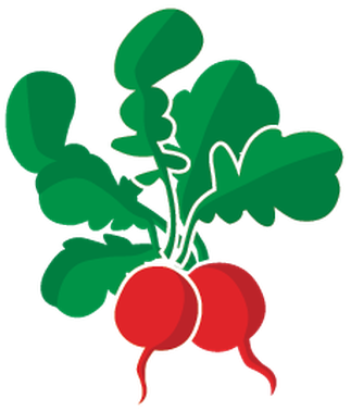 Produce From The Garden Icon Set Of 15 - Ingredients For Salad Clipart (415x399)