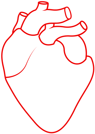 Sydney Heart Health Clinic Sydney Heart Health Clinic - Dessin Du Coeur Humain (500x500)
