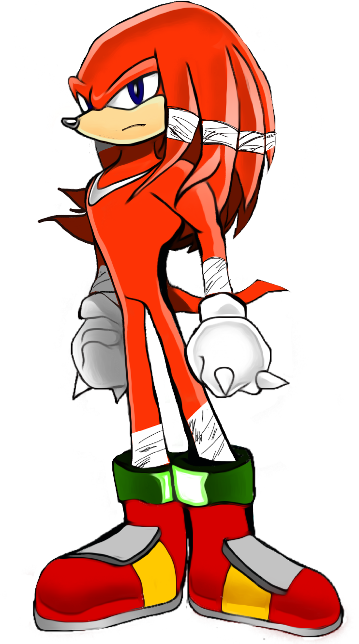 18 Year Old Knuckles By Aaronkasarion - Knuckles The Echidna (750x1334)