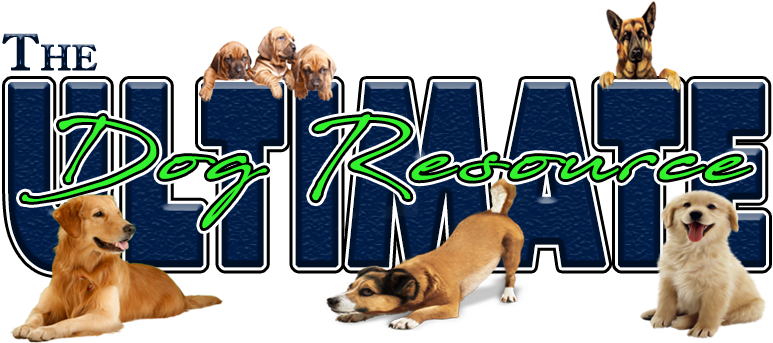 3 Top Ways To Clean Dirty Dog Paws Easy House Cleaning - My Love My Pet Beep Shock Pet Training Collar-premium (800x350)