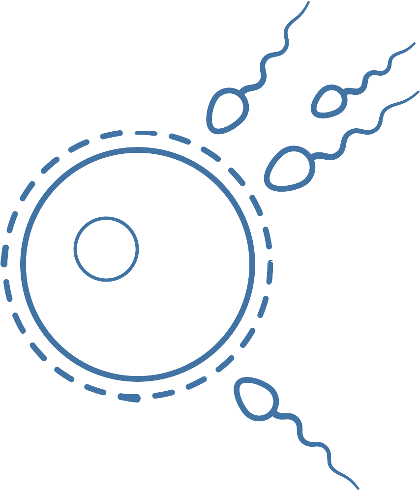 Computer Icons Clip Art - Circle (1200x1200)