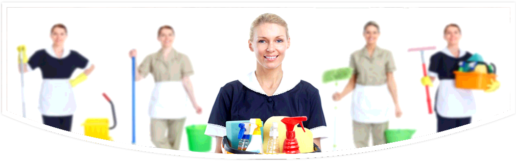 Orland Park Maid Services - Orland Park Maid Services (1010x318)
