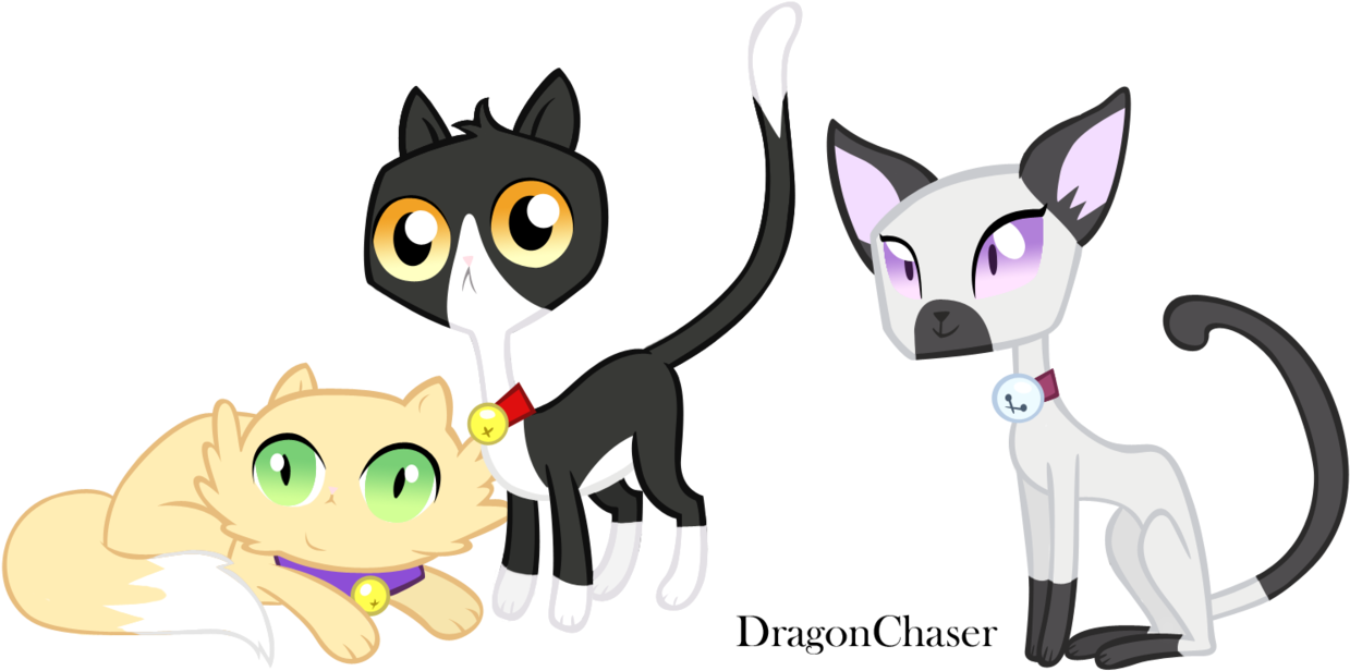 Dragonchaser123, Bell, Bell Collar, Cat, Collar, Pinkie - Cat (1280x625)