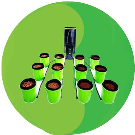 Hydroponics Products - Grass (452x452)