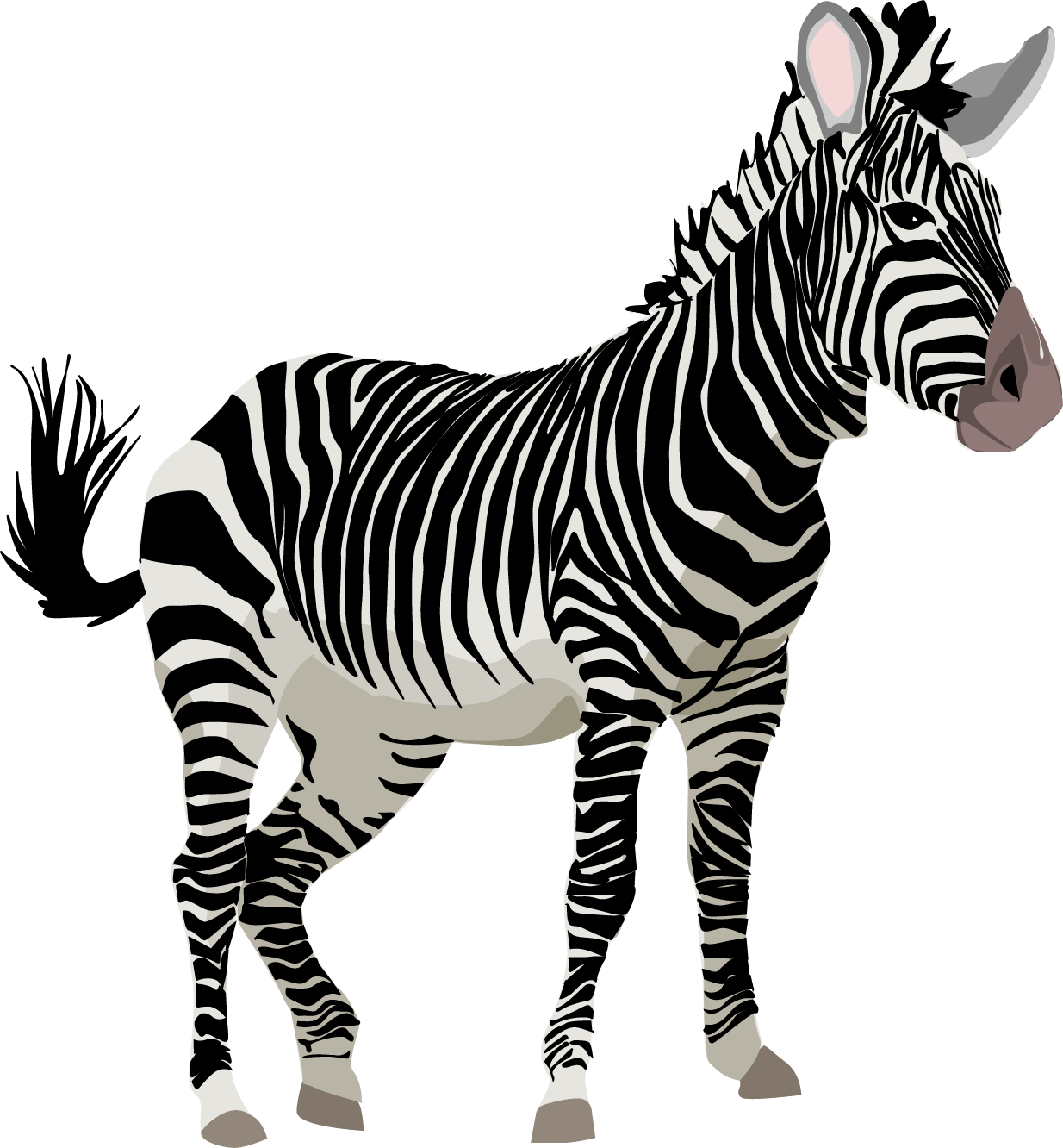 Zebra Free Content Giant Panda Clip Art - Zebra Free Content Giant Panda Clip Art (1234x1332)
