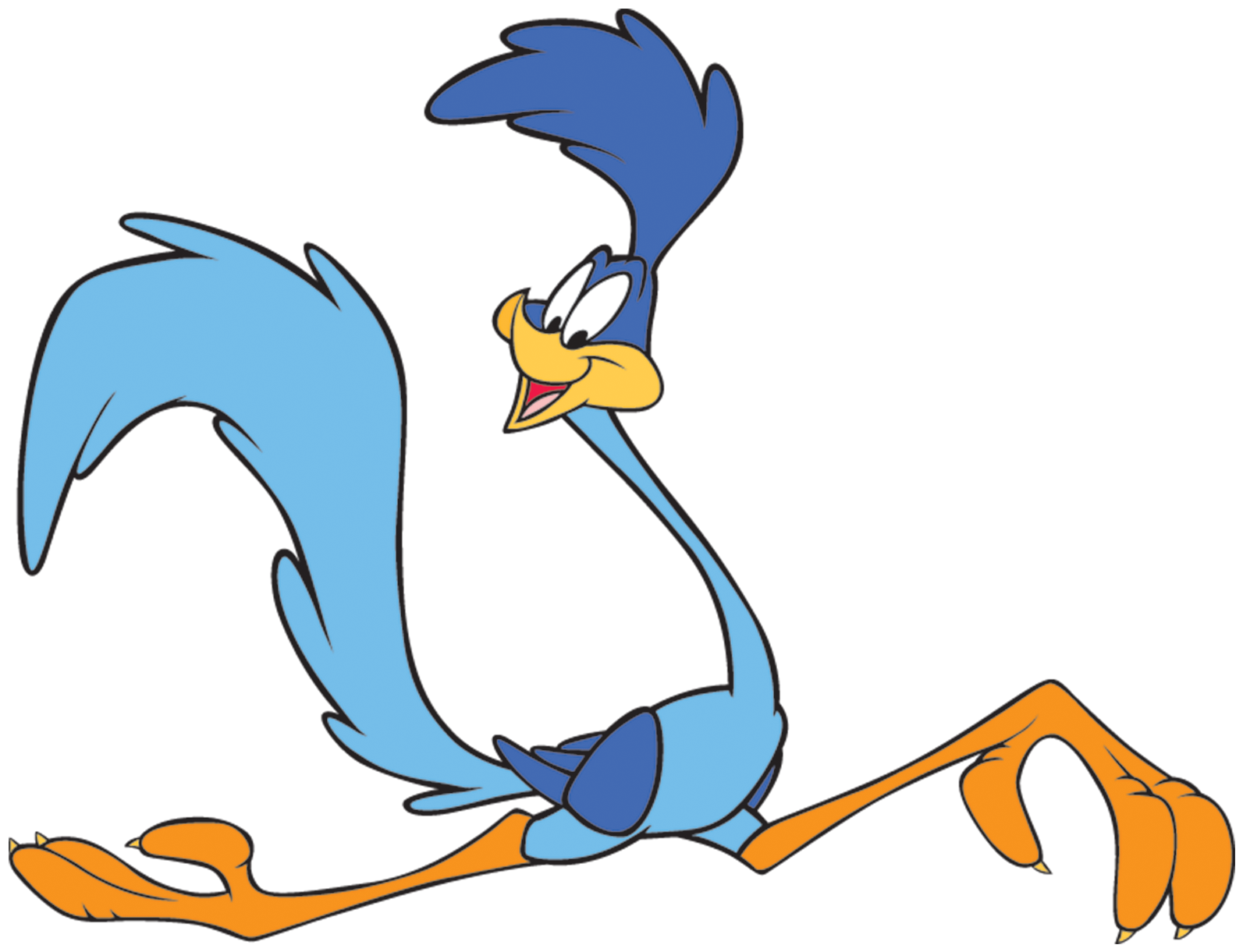 Wile E. Coyote And The Road Runner (1725x1350)