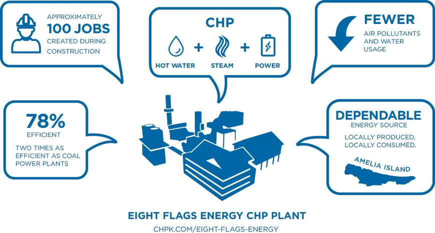 Eight Flags Plant Infographic - Infographic (869x466)