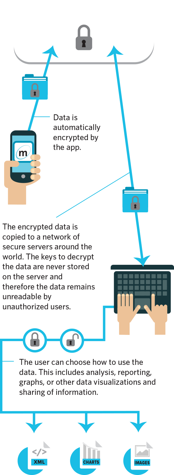 How Martus Works - Question Bank It And Strategic Mangement (586x1600)