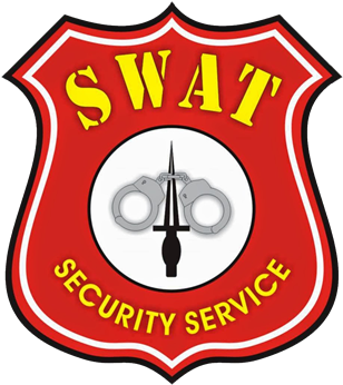 Codi The Flash Cushion (349x350)