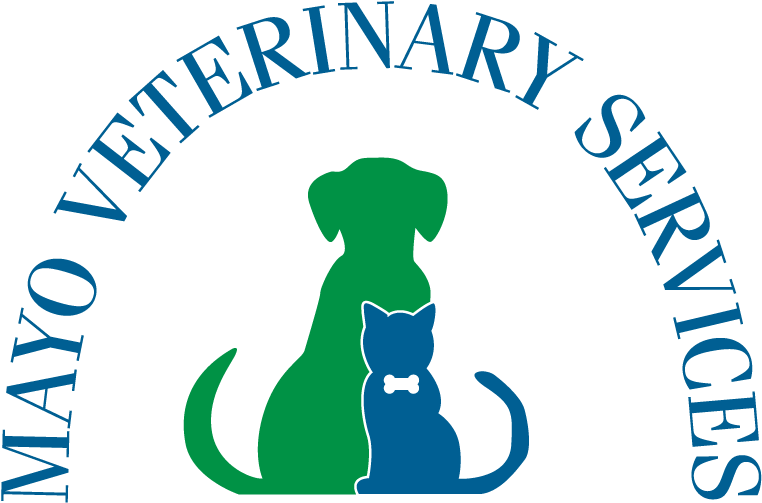 Mayo Veterinary Services - Our Lady Of Peace Darien (768x513)