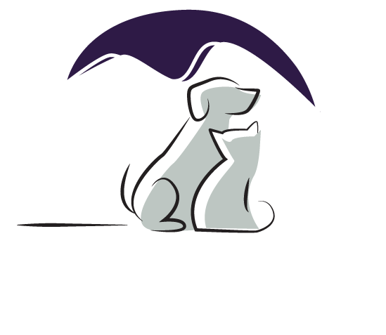 Animal Dental Clinic - Cartoon (621x498)