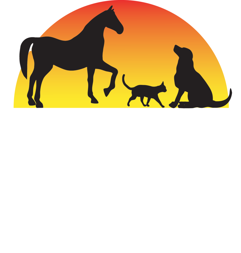Bv Transparent Hi Res - Badger Veterinary Hospital-janesville (1000x1047)