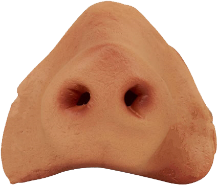 Baby Pig Png - Pig Nose (497x400)