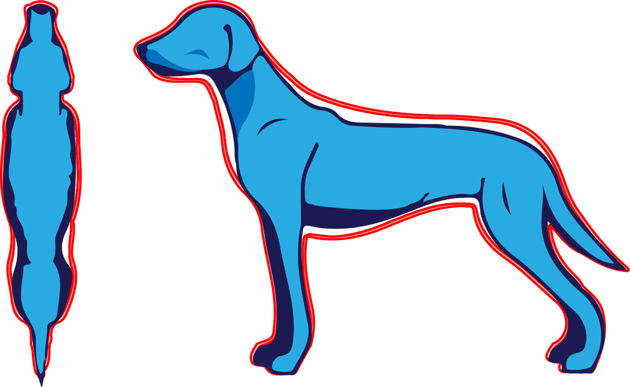 Pet Pet Pet Pet - Pet (1293x795)