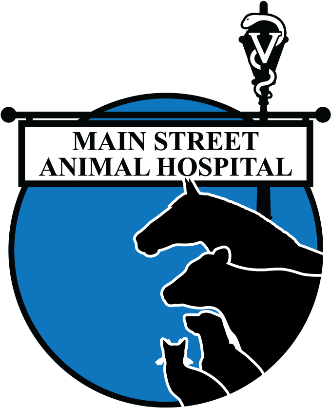 Main Street Animal Hospital (864x864)