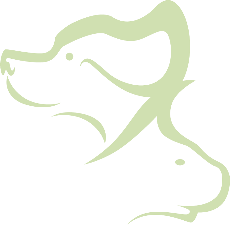 Veterinary Surgery Frequently Asked Questions - Veterinary Surgery Frequently Asked Questions (745x728)