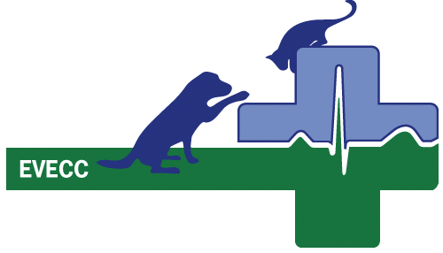 Menu - Menu (500x286)