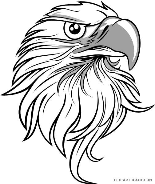 Eagle Head Animal Free Black White Clipart Images Clipartblack - Eagle Drawing (504x598)