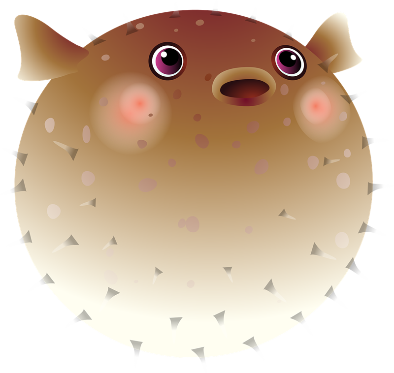 Pufferfish Fugu Drawing Clip Art - Pufferfish Fugu Drawing Clip Art (800x758)