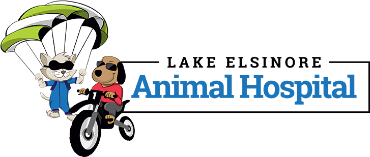 Lake Elsinore Animal Hospital - Lake Elsinore, California (754x308)