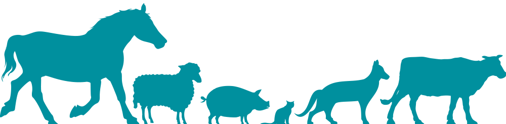 Smiley Face - Pferdevintager Hölzerner Stich Karte (1000x245)