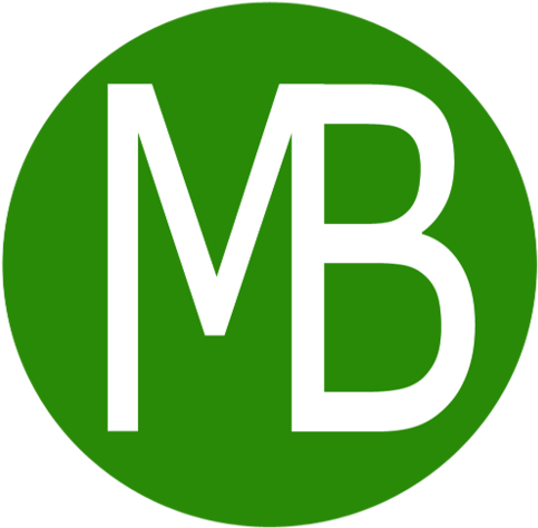 Search Engine Optimization And Digital Marketing Service - Mbhitech Solutions (500x500)