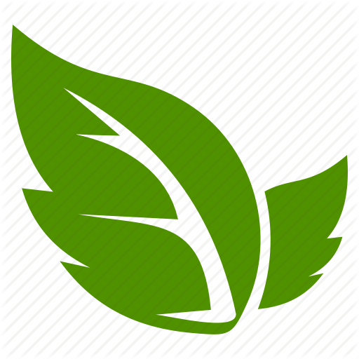 Leaf Icon - Leaf Icon Png (512x512)
