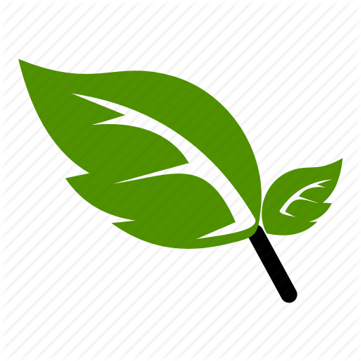 Flower, Green, Leaf, Natural, Nature Icon - Green Leaf Icon Png (512x512)