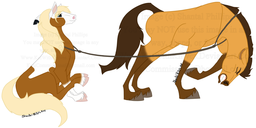 Tug Of War - Tug Of War (900x468)